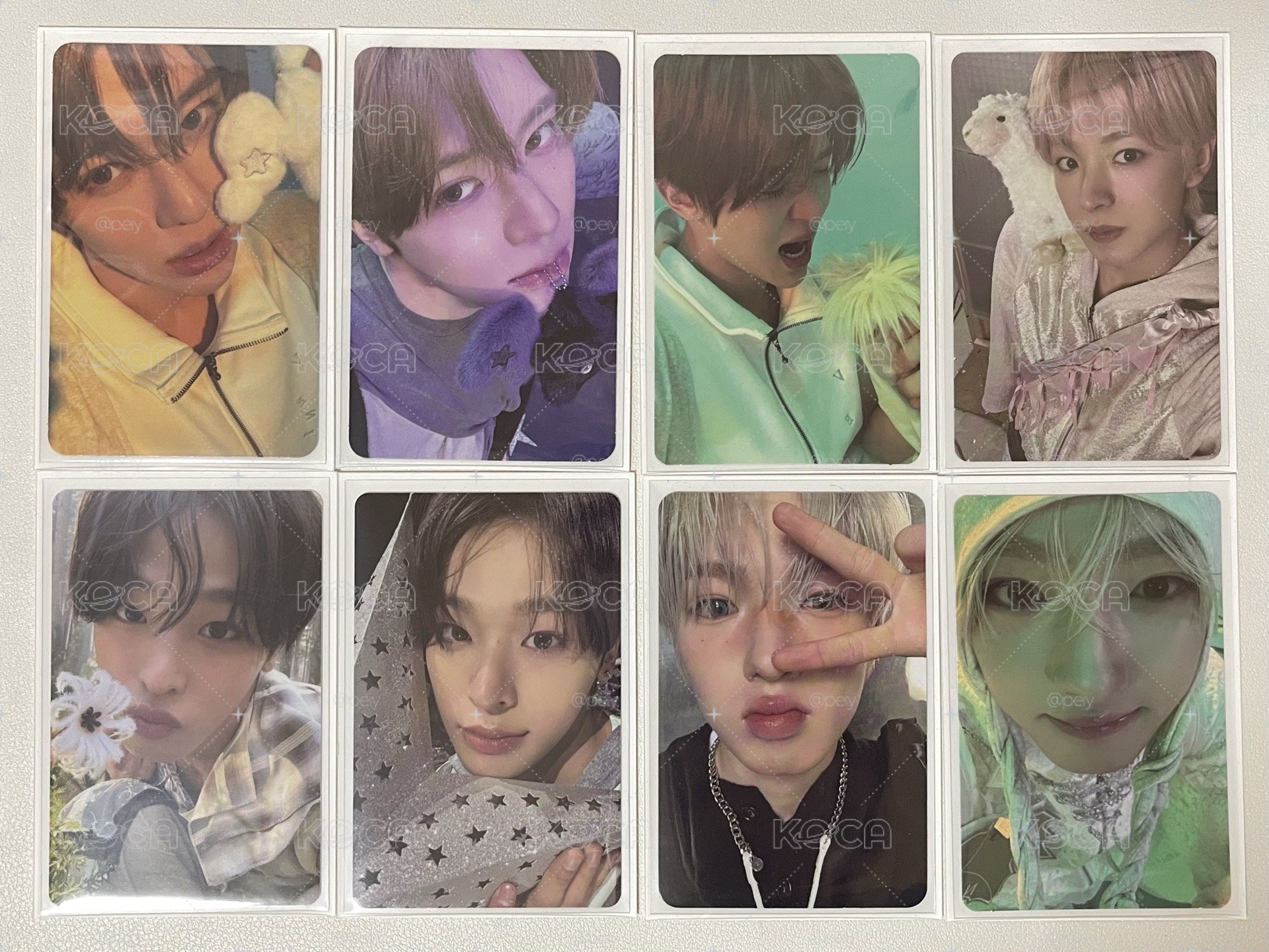 NCT wish ode to love專卡賣場