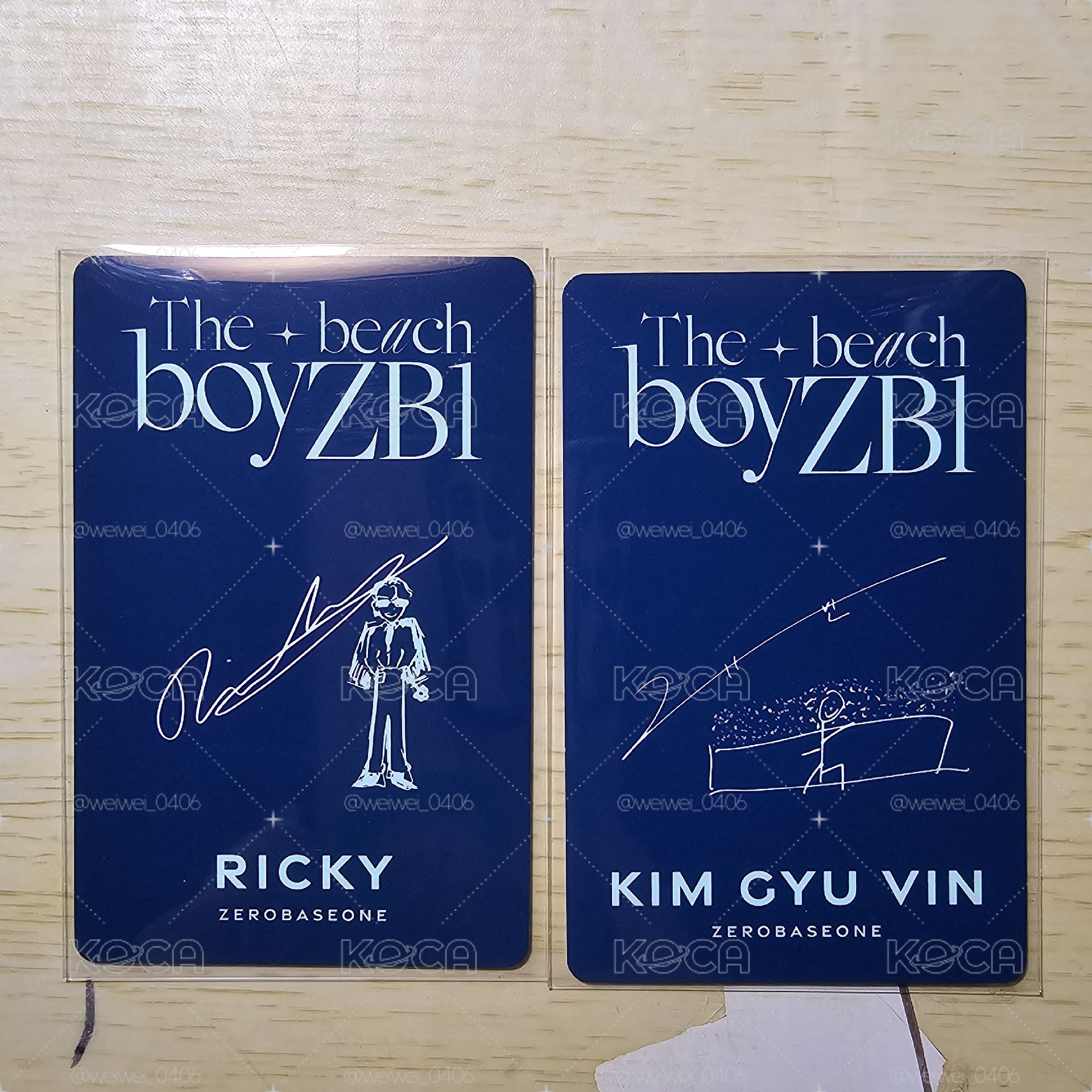 ZB1 Ricky 金奎彬 貓狗 DICON D社 雜誌卡 團封