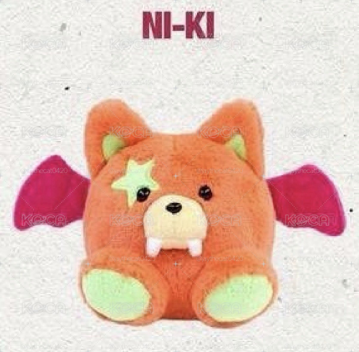 ENHYPEN NIKI 西村力 娃專