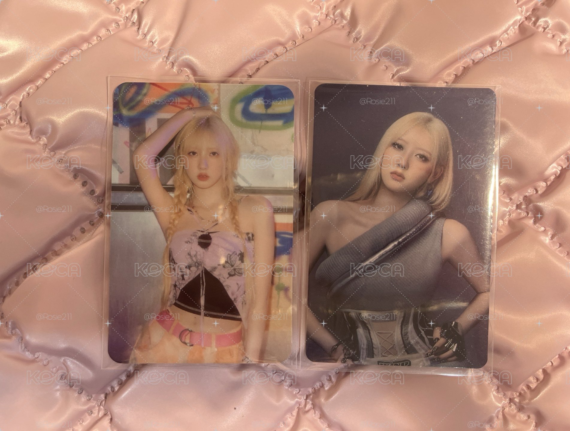 🐬藍小卡🐬