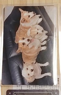 發運康久🐶
