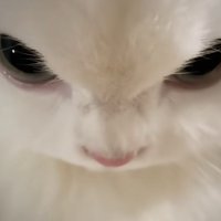 小茉