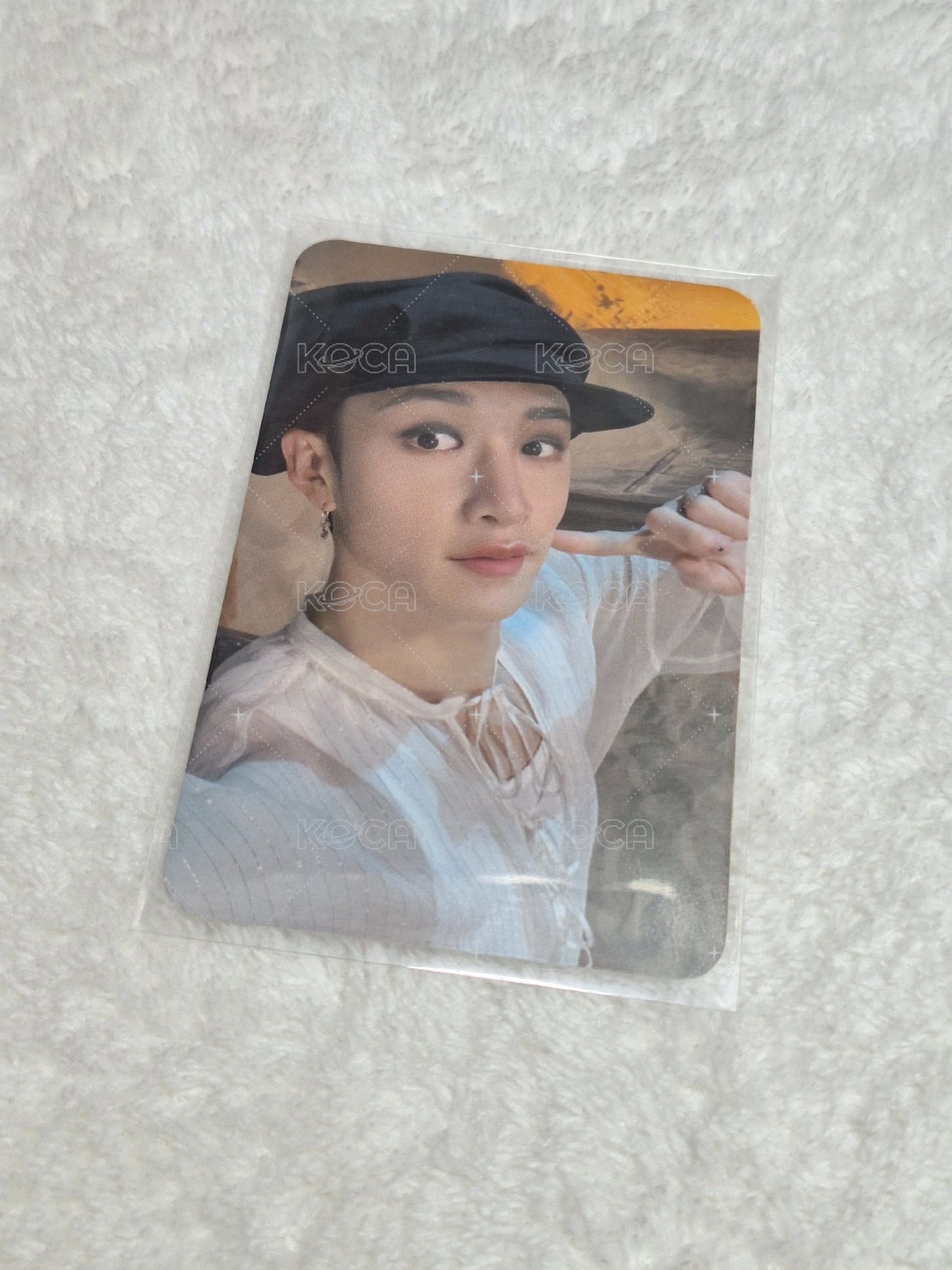 樂jyp