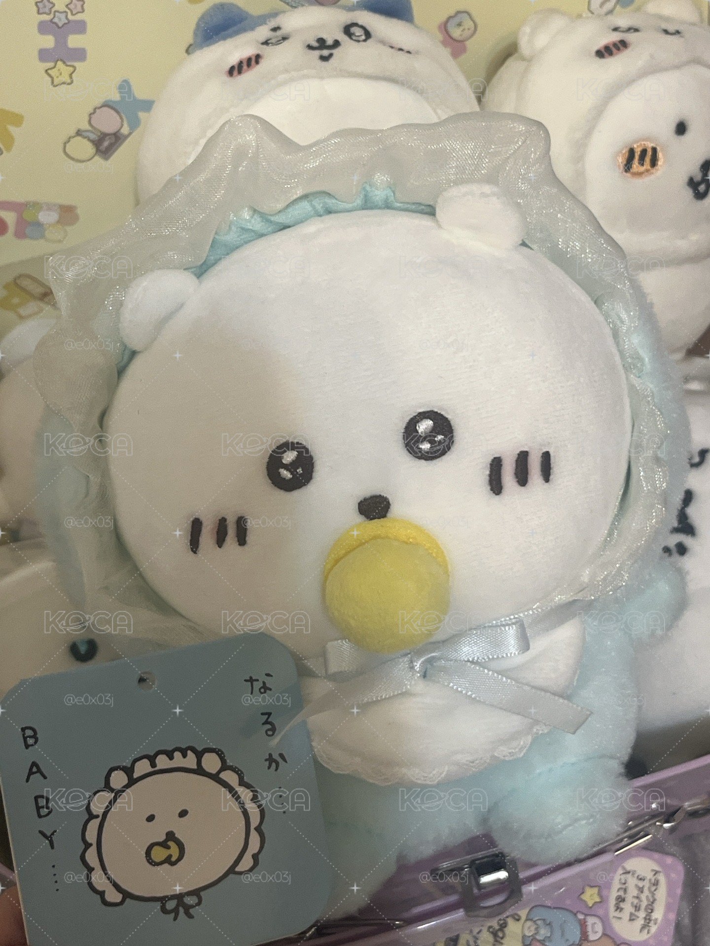 嬰兒熊