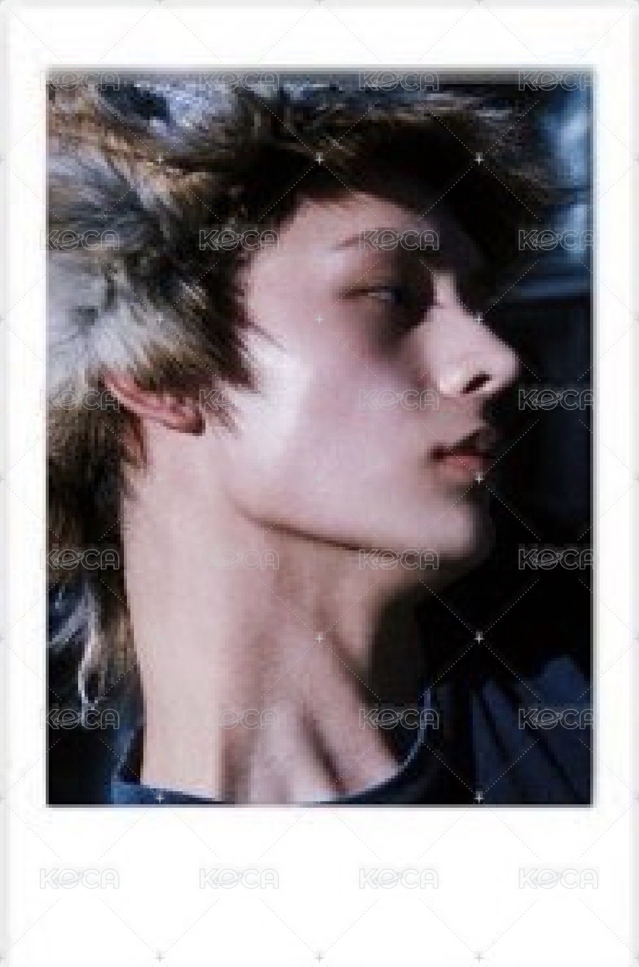 凡