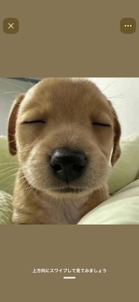 >ㅇㅅㅇ<
