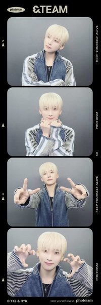 WOF 人生四格卡 / 拍貼 