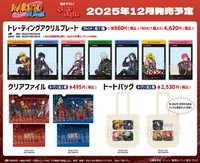 疾風伝 TV動畫 Cyber Style 