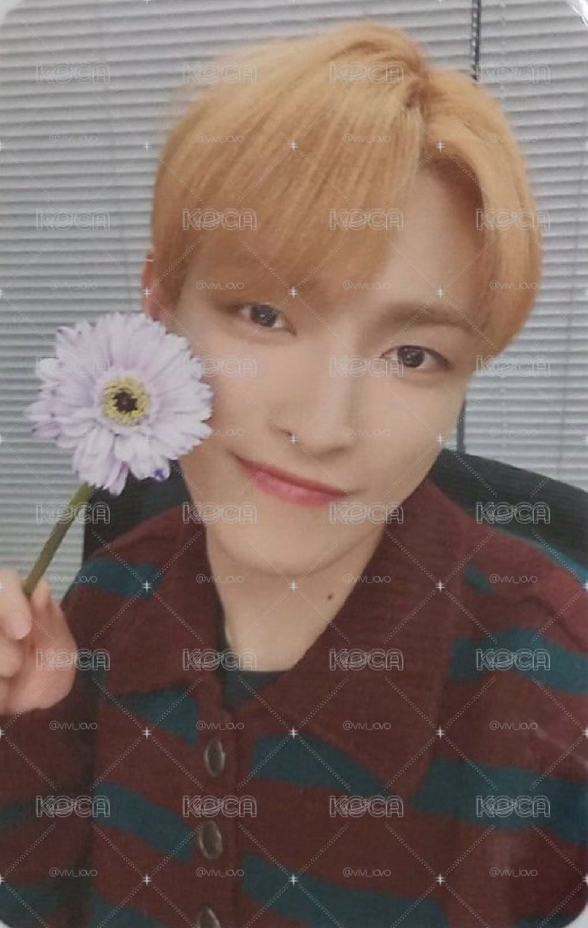 Will MINIRECORD 7.0 簽售卡 拿小花弘中Hongjoong