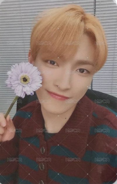 Will MINIRECORD 7.0 簽售卡 拿小花弘中Hongjoong