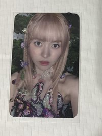 仲夏夜 阿拉丁仙女