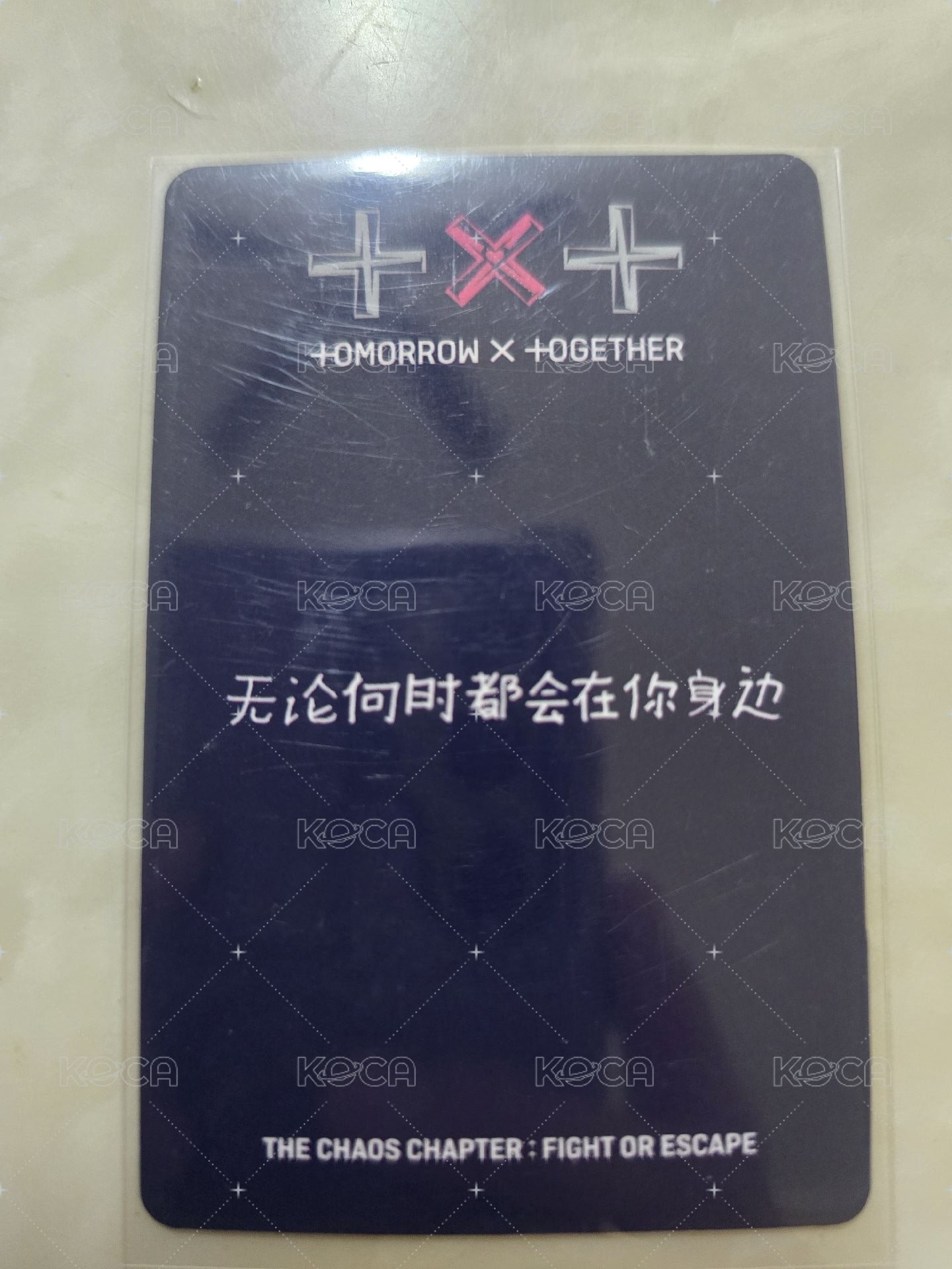 中背：FOE yzy1.0簽售卡