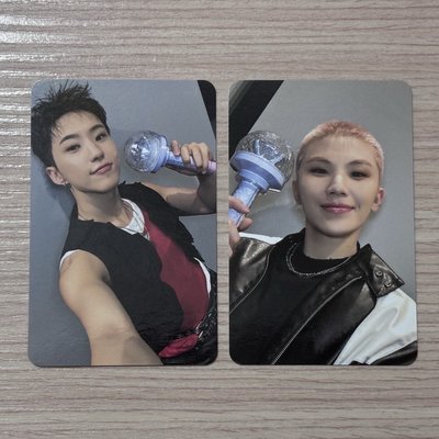 豪雨 入場卡 SEVENTEEN HOSHI WOOZI WARNING
