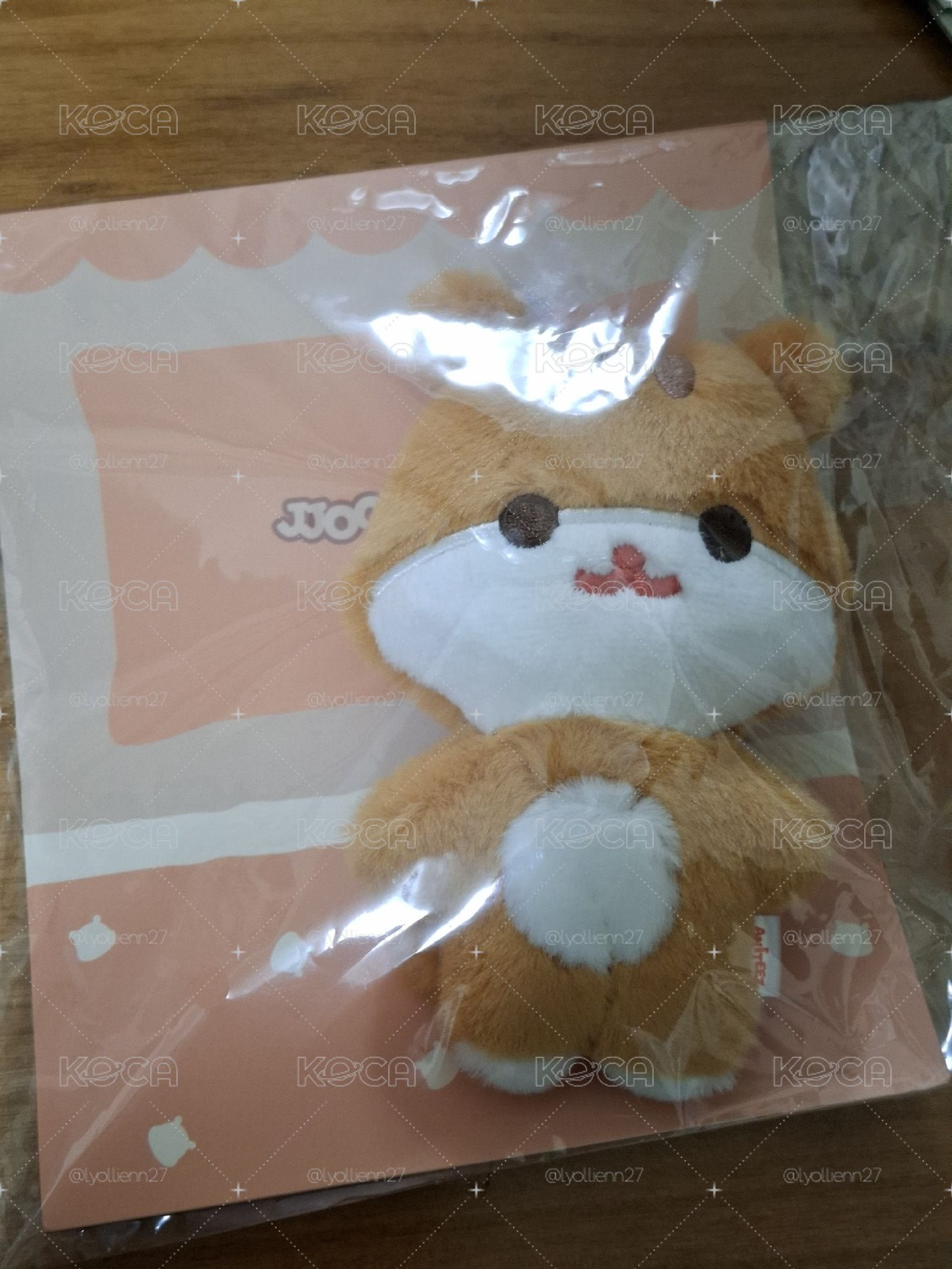 中拉米 豆豆眼娃