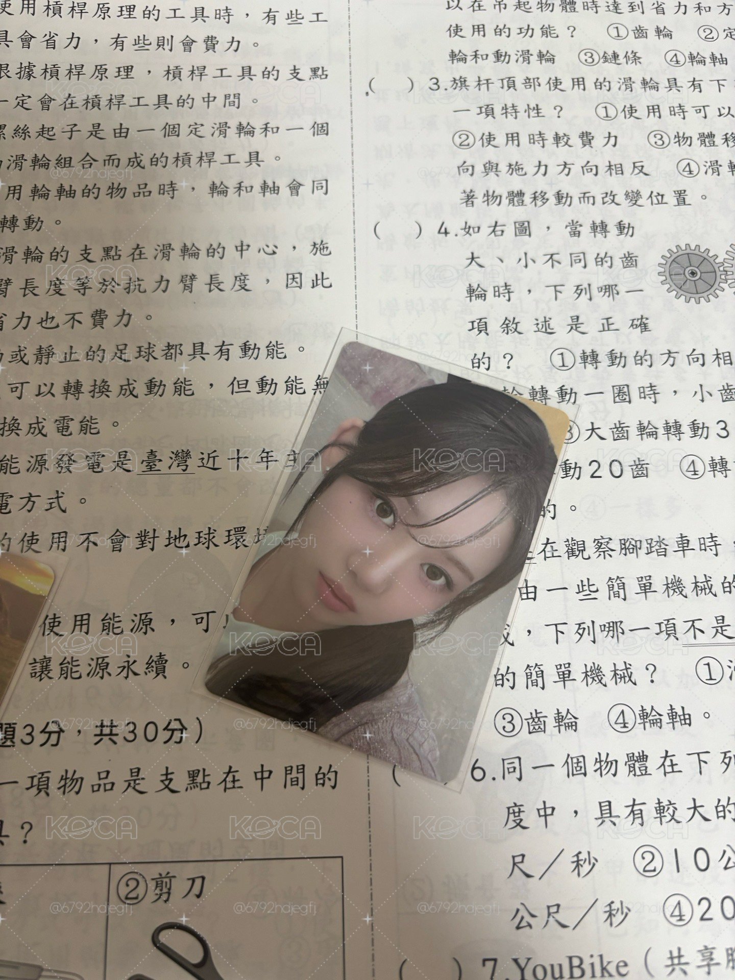 一週年茶