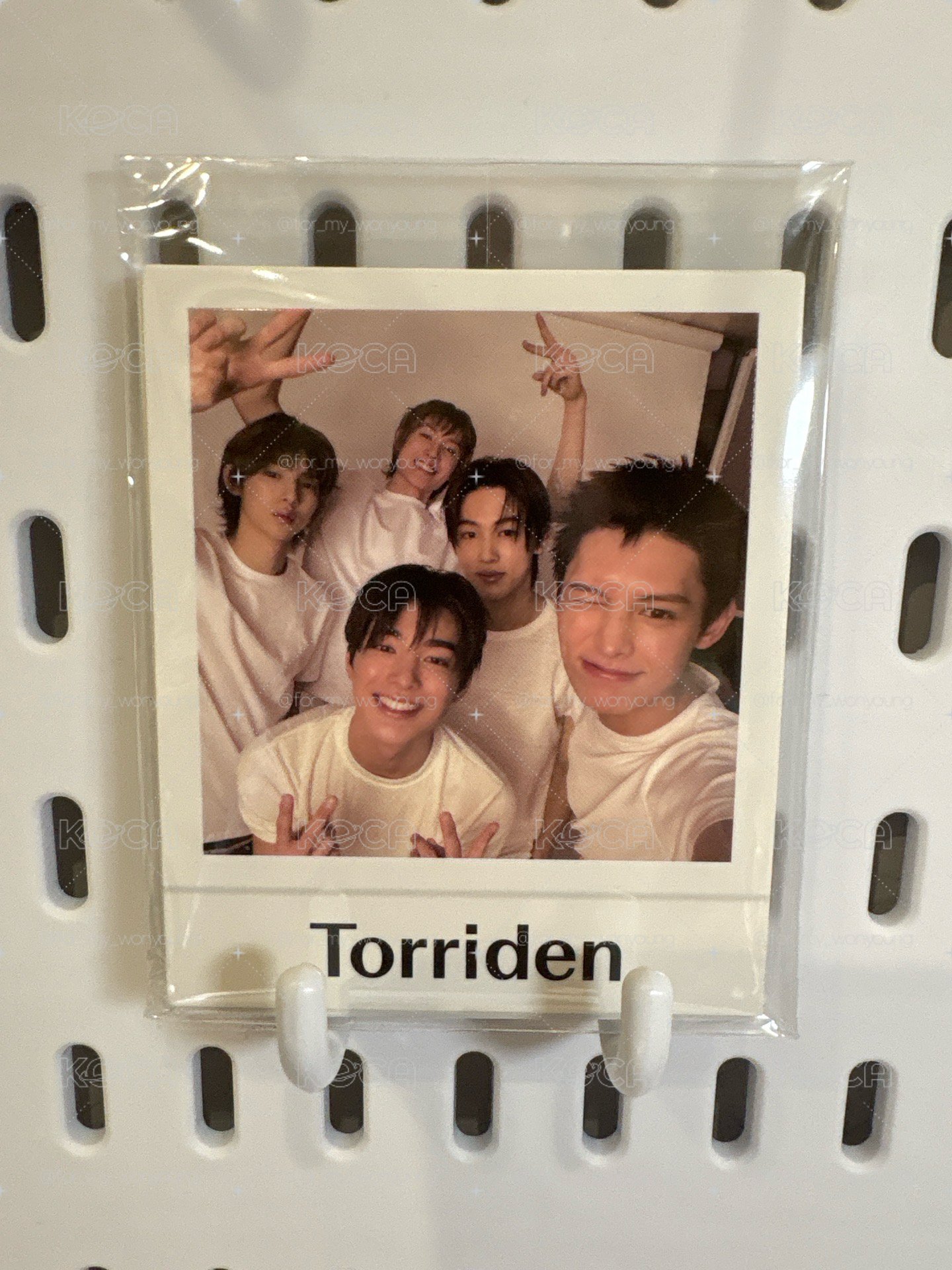 |CORTIS|Torriden代言卡