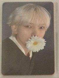 咬花尚（綁50）