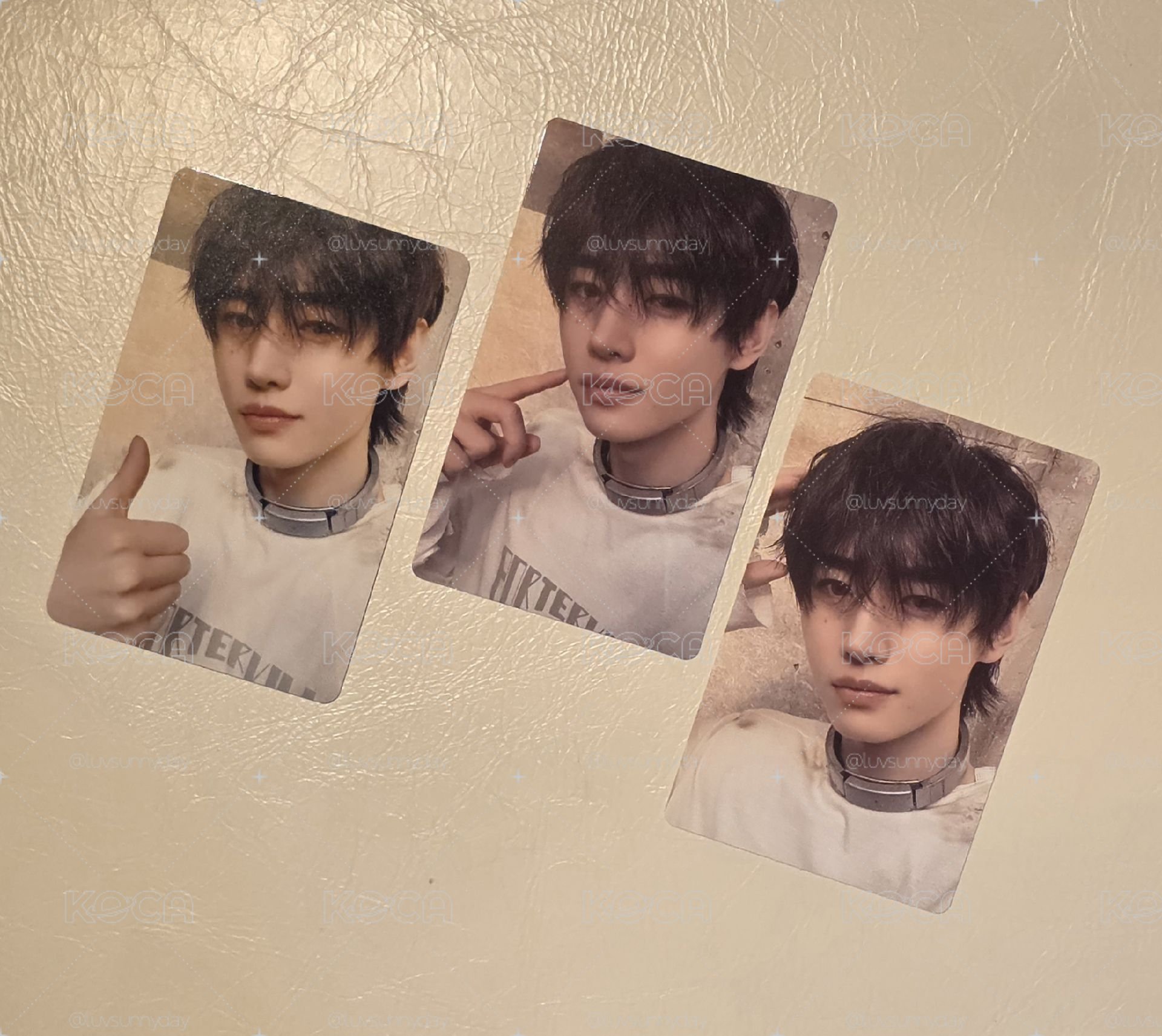 訓 迷六日咖 單封 特典 專卡 