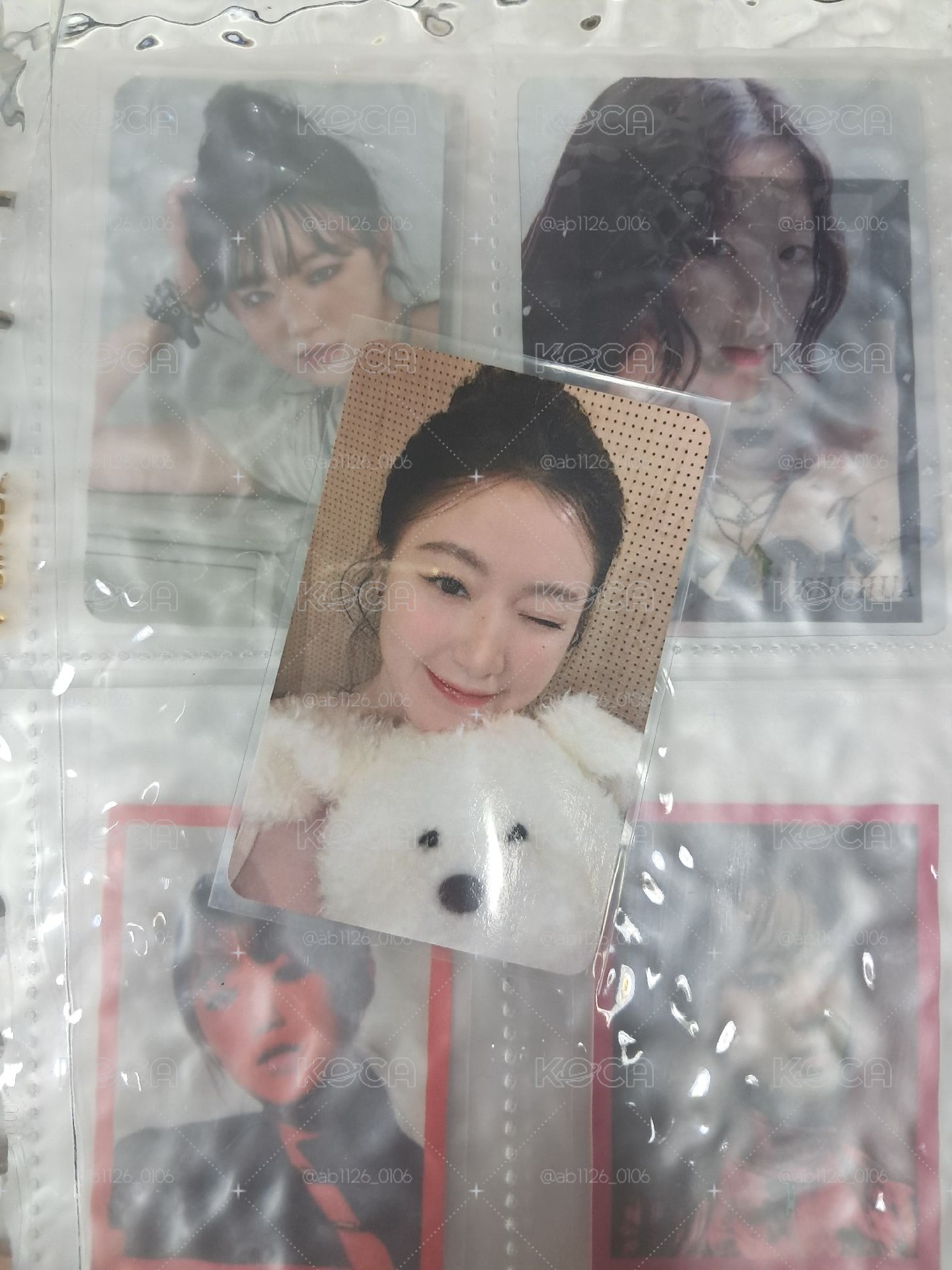 超萌狗狗刷