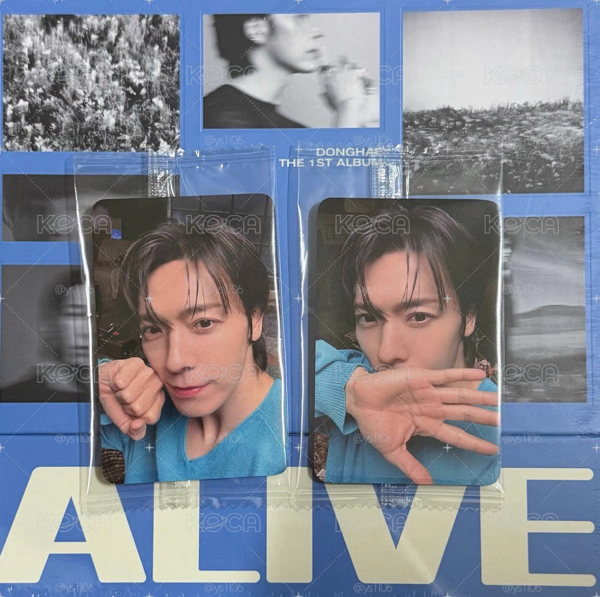 SUPER JUNIOR 李東海 K4 solo1 ALIVE 視聽會特典卡