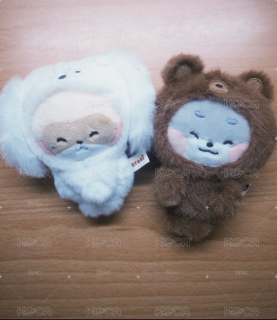 （買家保留）昊旭磁吸娃/銳卡
