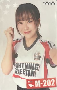 25GMM運動會 隨機卡 