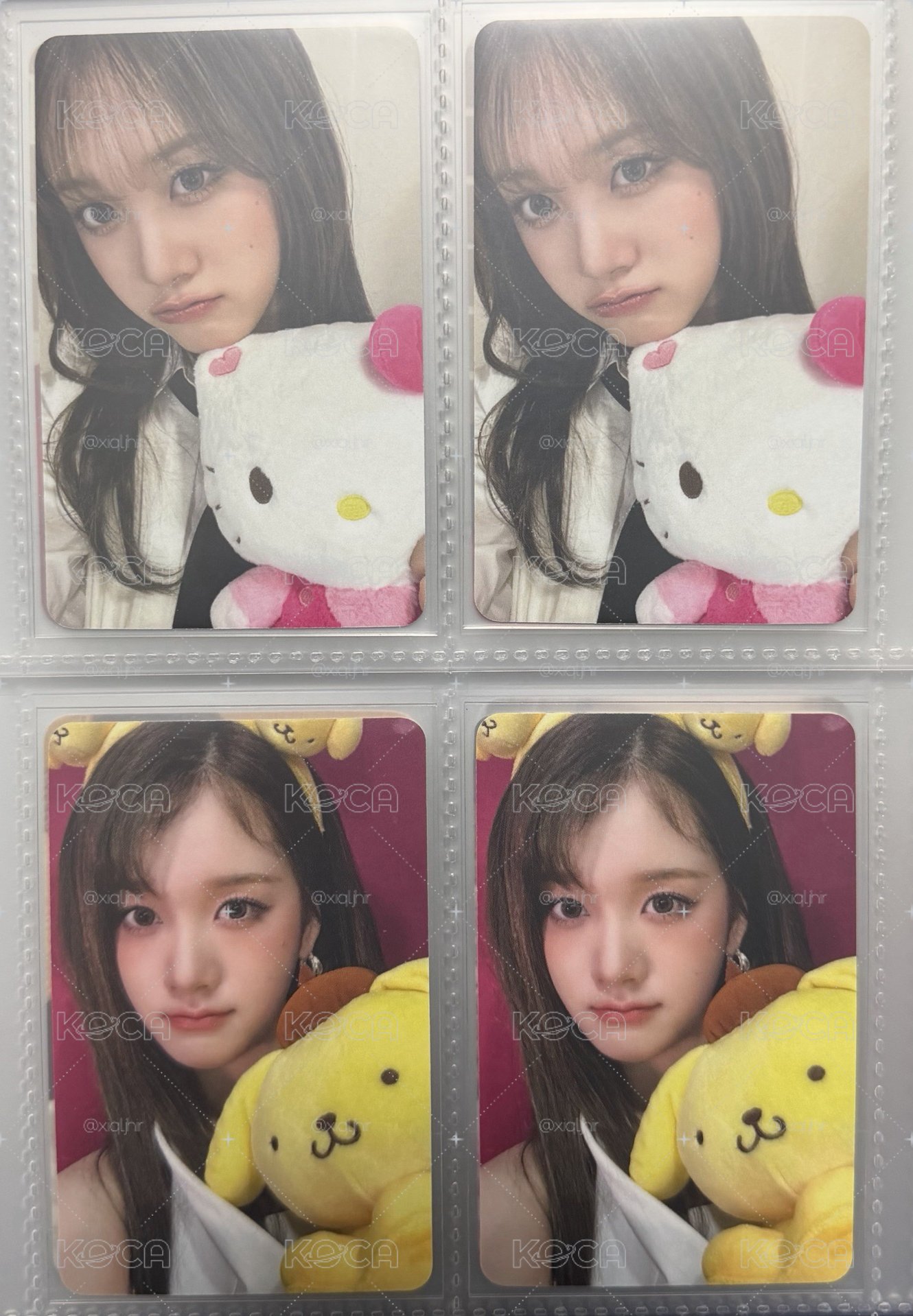 🐱🐶🐱🐶🤍💛