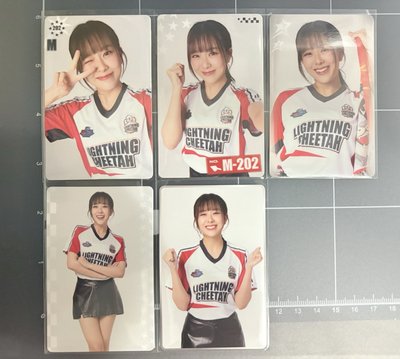 2025JuneMewnich運動會隨機卡