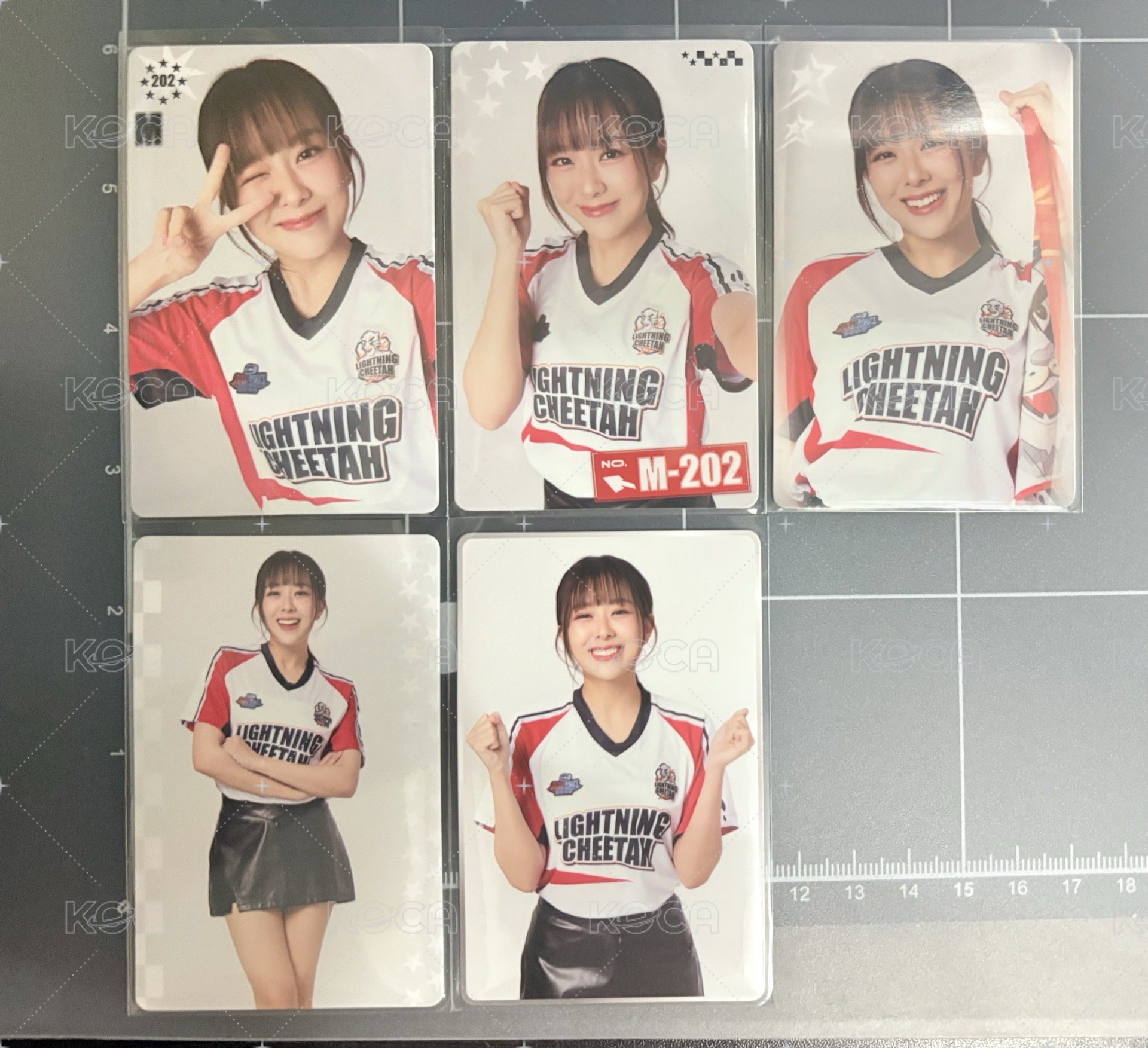 Mewnich一套