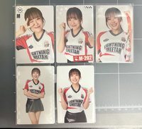 Mewnich一套