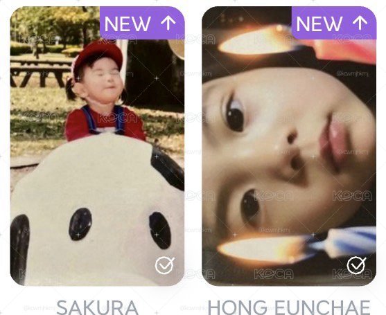 非現寶寶打歌卡