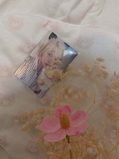 NMIXX 貝貝小貓變化卡