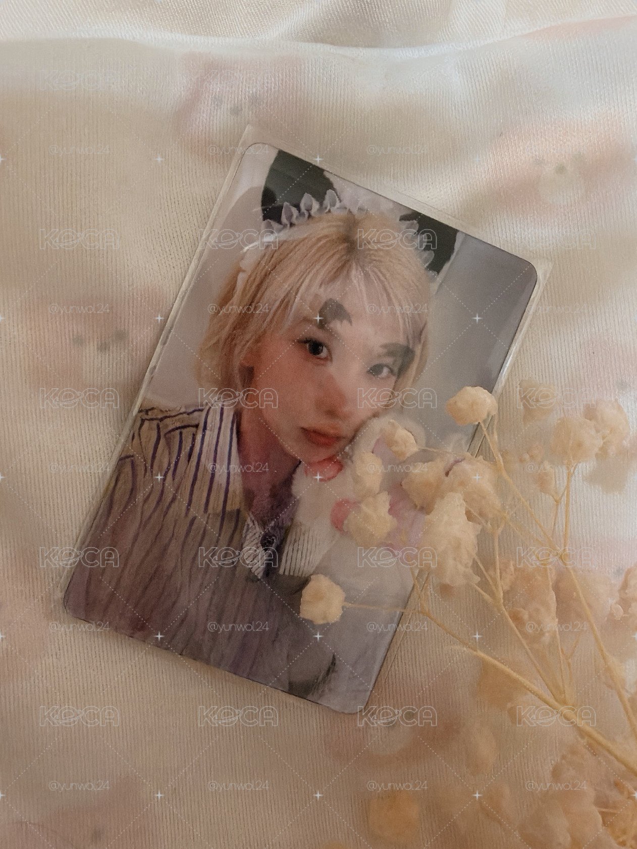 NMIXX 貝貝小貓變化卡