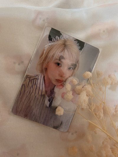 NMIXX 貝貝小貓變化卡