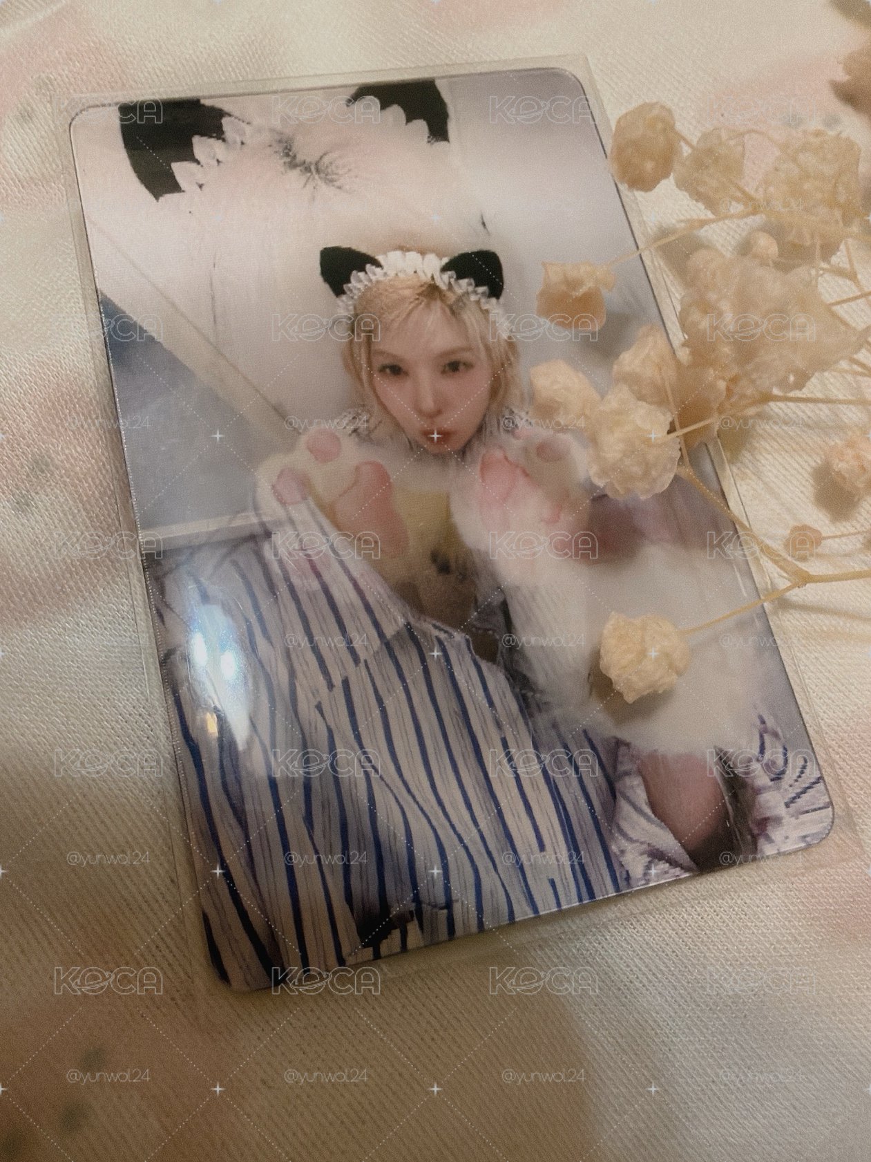 NMIXX 貝貝小貓變化卡