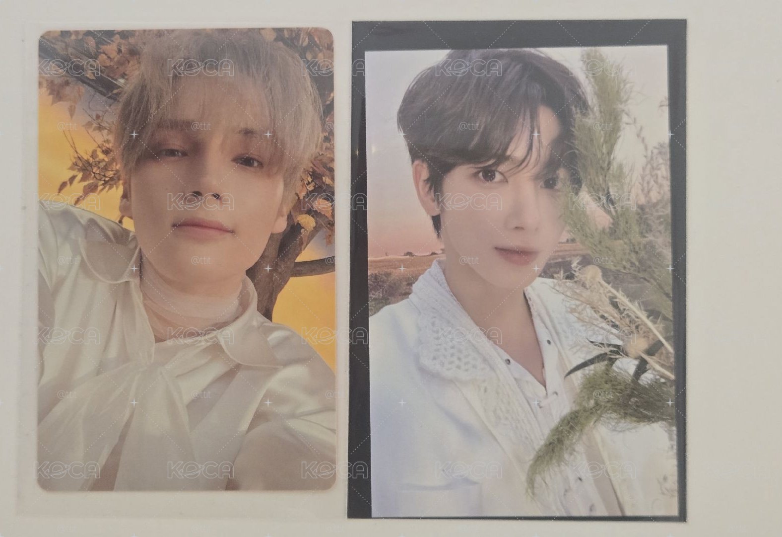 TXT 24年顯粽卡+ LIGHT版休寧 