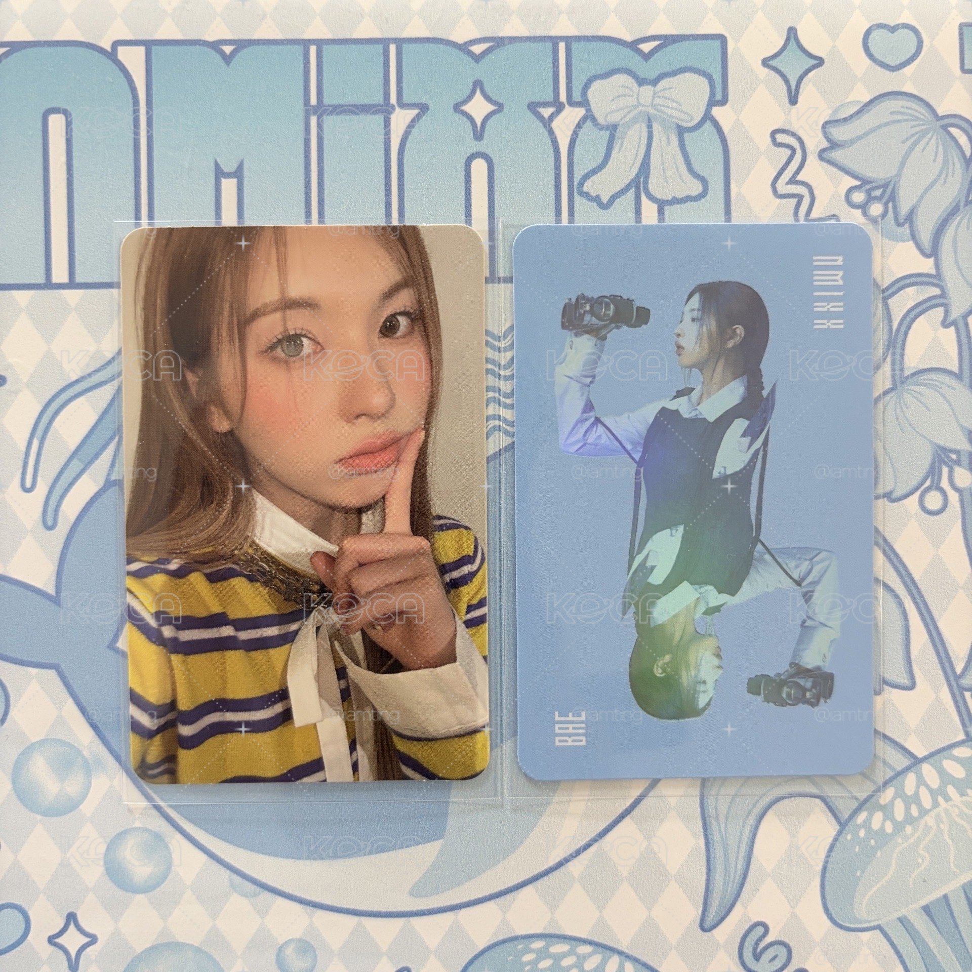NMIXX expérgo 裴專卡