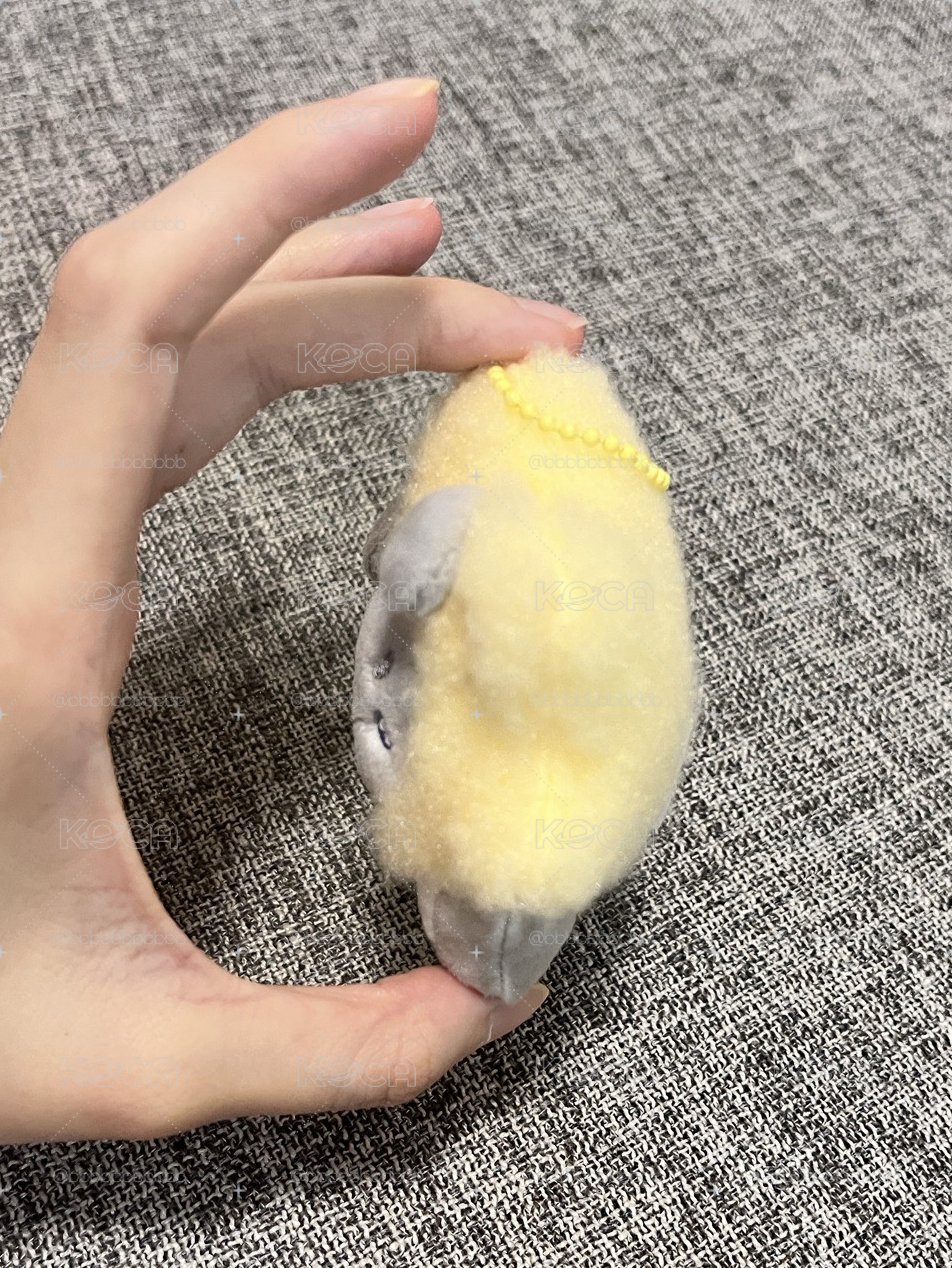 zeroni星星吊娃 旭