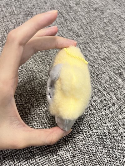 zeroni星星吊娃 旭