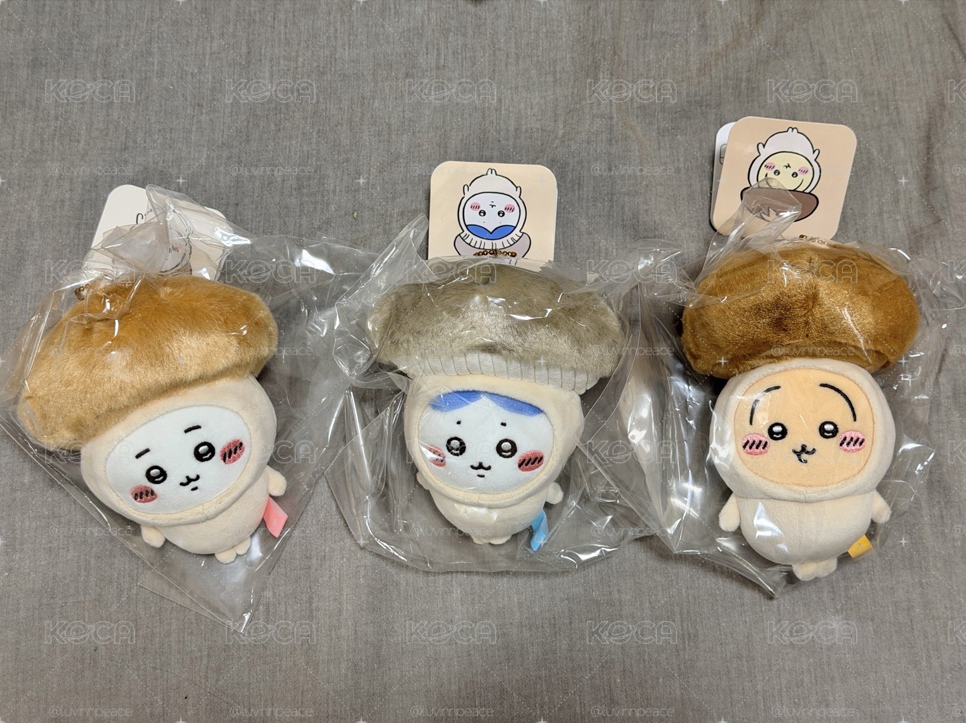 吉伊卡哇出清大總匯（多小八）