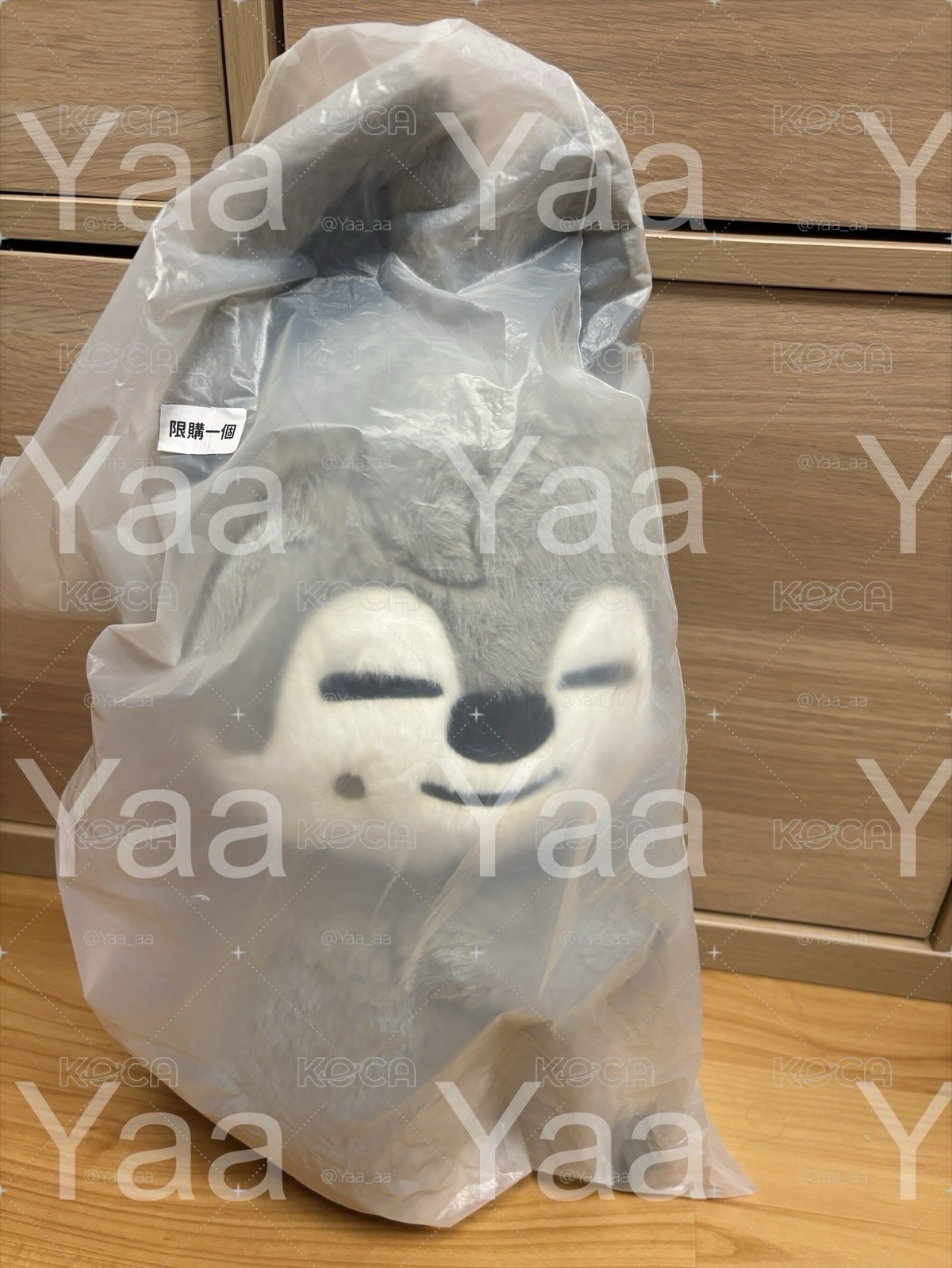 Skzoo 方燦套組（泰迪+側背娃包+小娃）全新未拆，僅開放面交