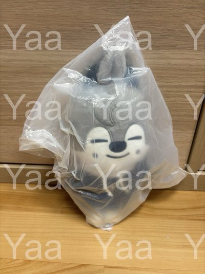 Skzoo 方燦套組（泰迪+側背娃包+小娃）全新未拆，僅開放面交