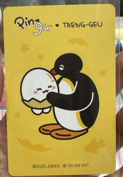 姐姐跟太蛋Pingu這麼可愛不買嗎ಥ_ಥ
