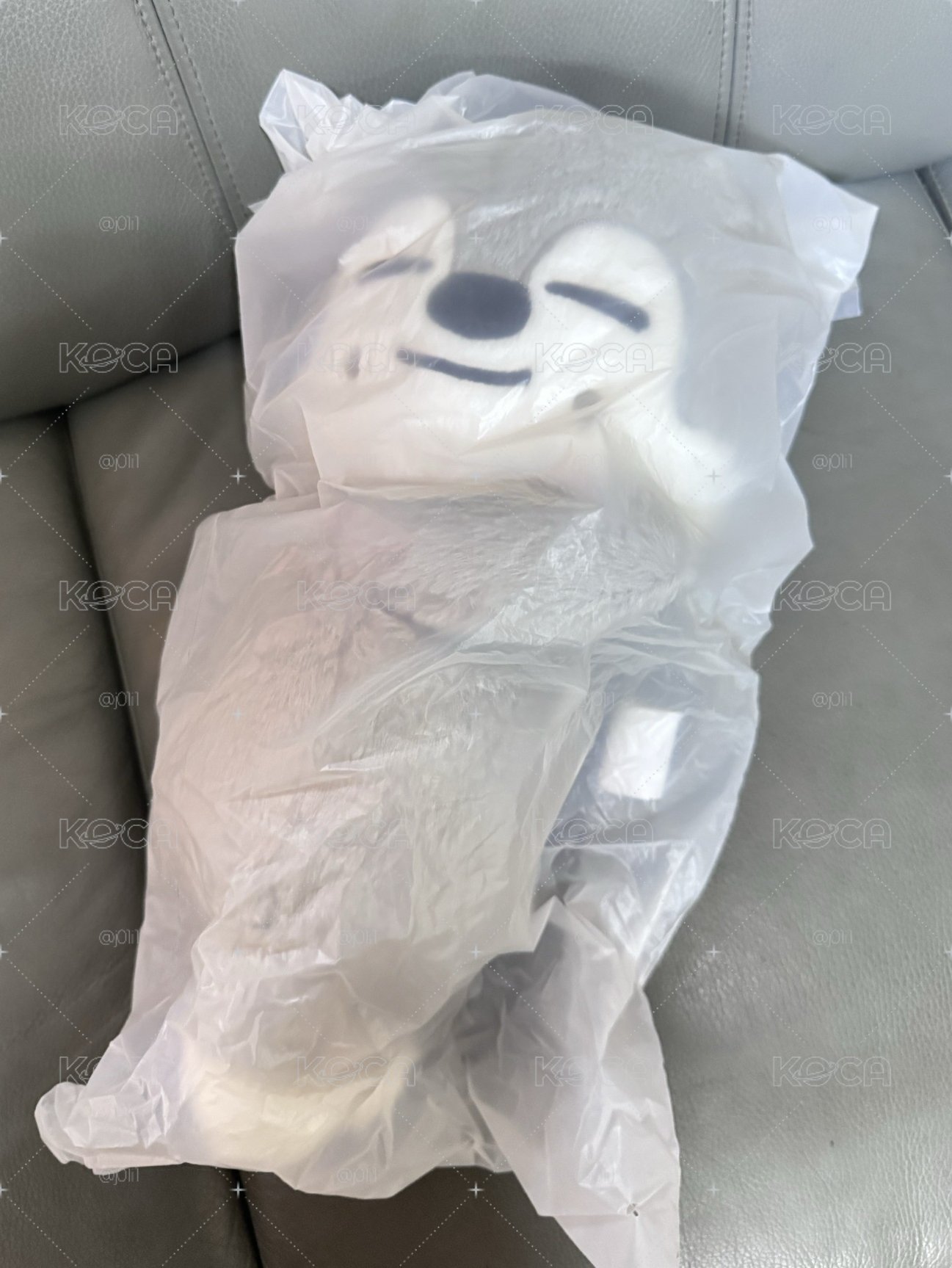 燦側背包