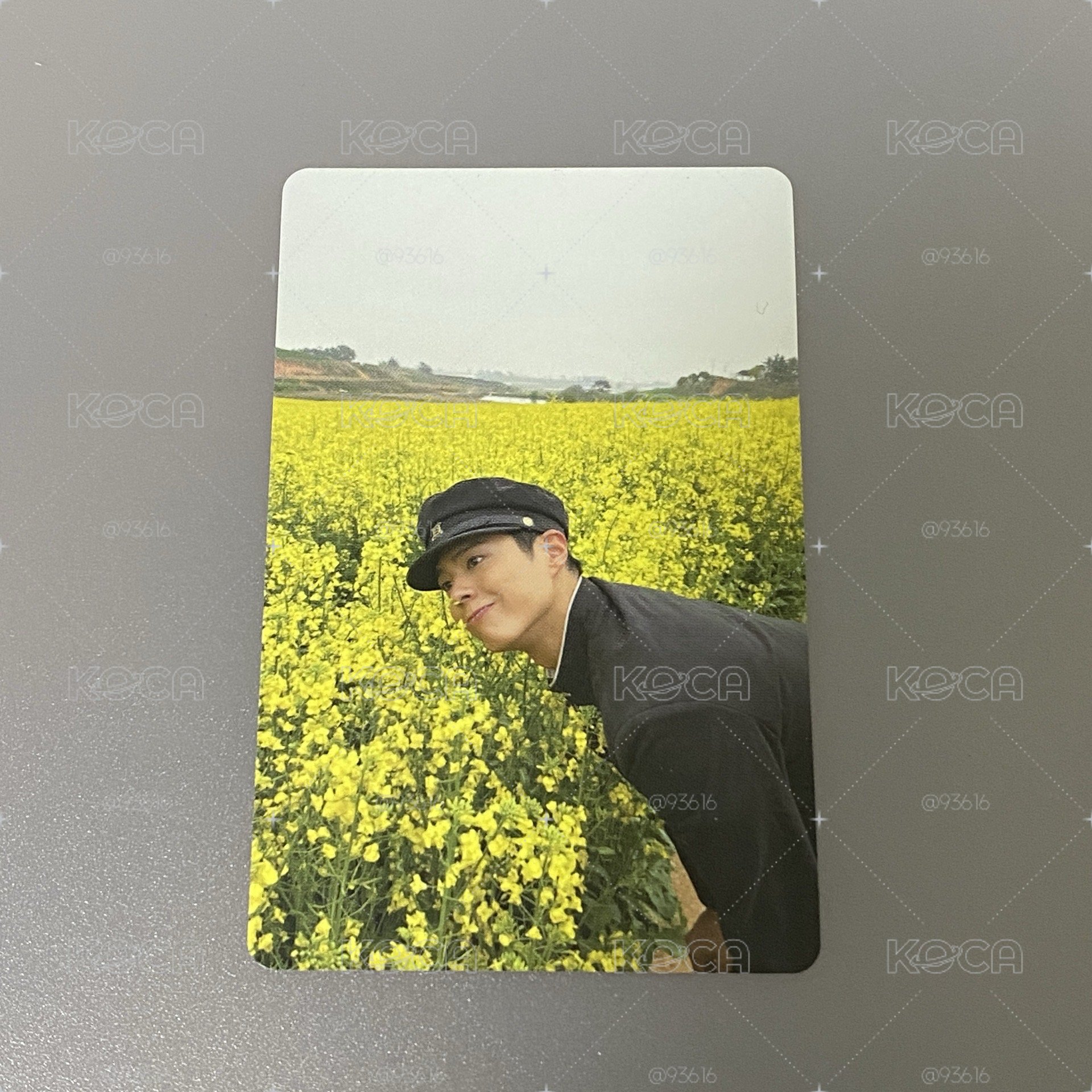 朴寶劍 寬植小卡 附贈品