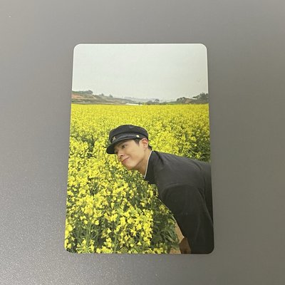 朴寶劍 寬植小卡 附贈品
