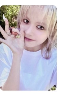 白版莉