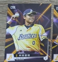 林吳晉瑋