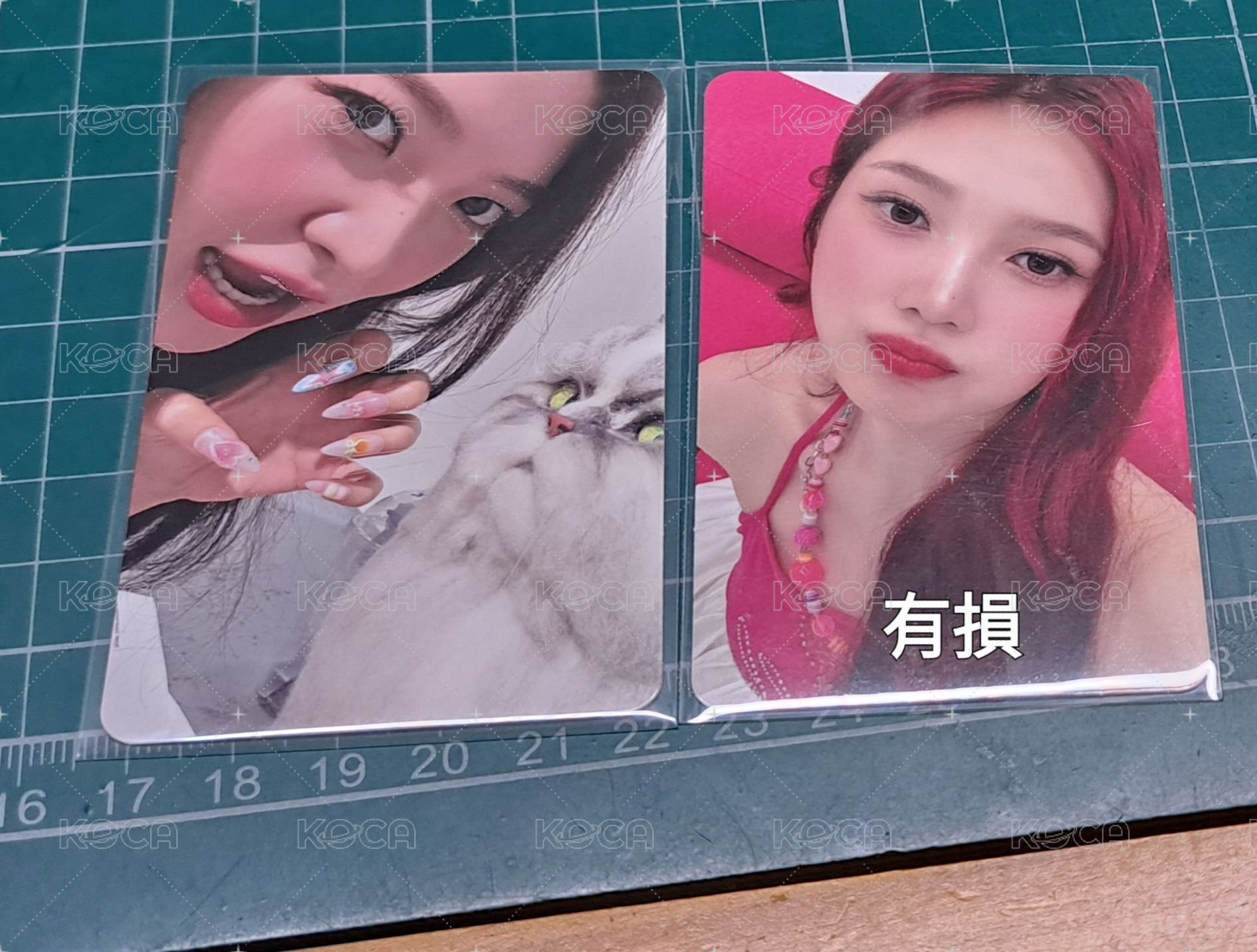 貓爪Yeri+Joy(Joy卡有損！）