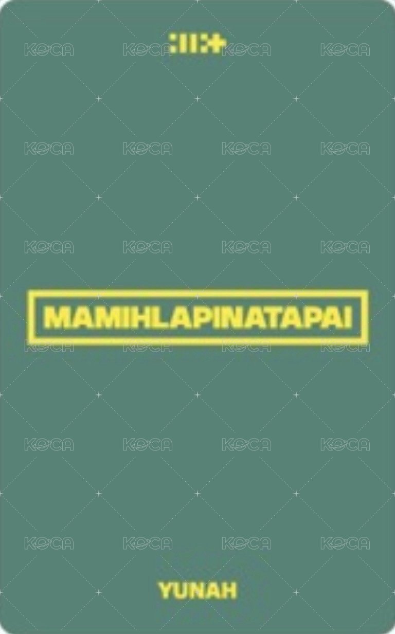 MAMIHLAPINATAPAI 日咖 預售 特典卡 PAW PAW ver. 背面
